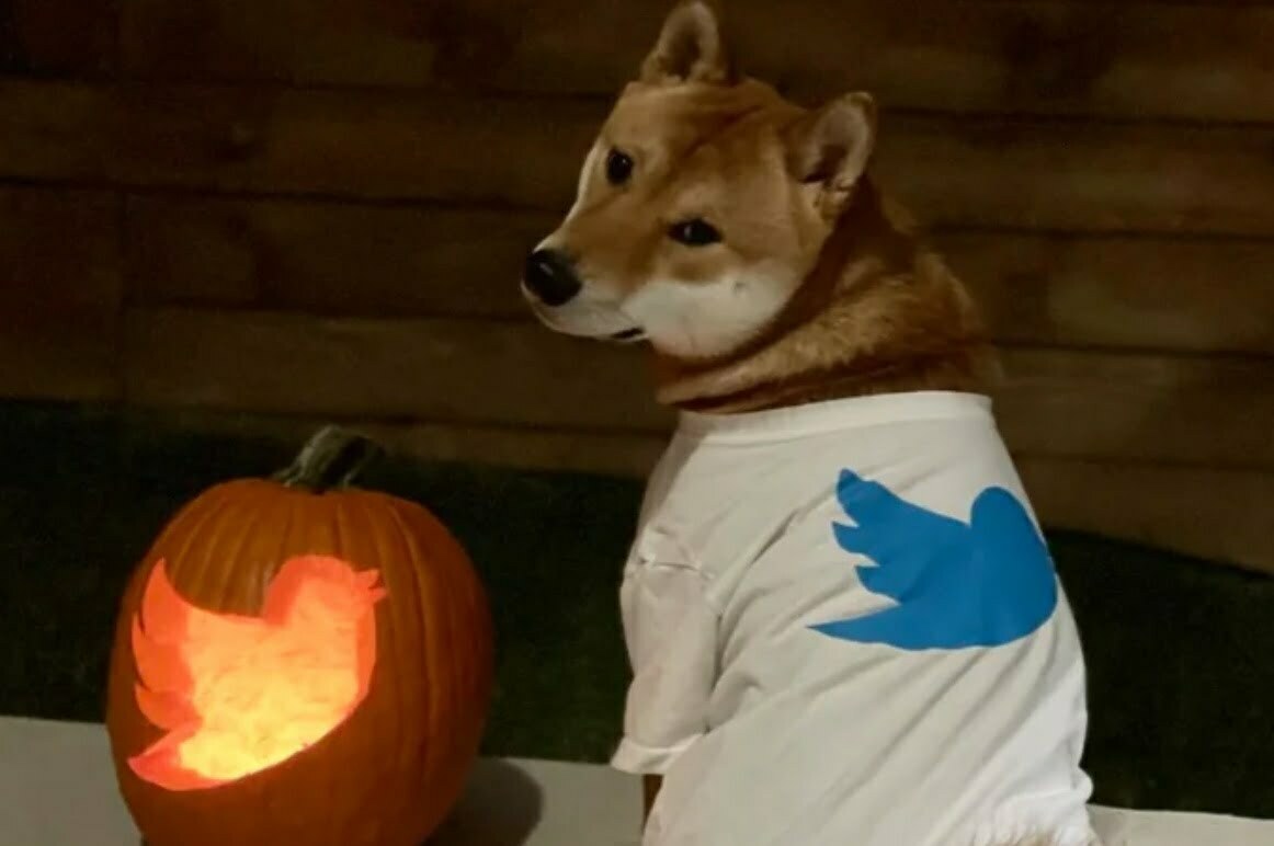 Вартість мем-токена DOGE злетіла на 29% після твіту Ілона Маска